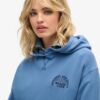 Athletic Essentials Hoodie Athletic Essentials Hoodie