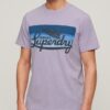 Cali T-shirt met gestreept logo