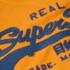 Getailleerd Vintage T-shirt met geborduurd logo Getailleerd Vintage T-shirt met geborduurd logo