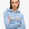 Hoodie met regenbooglogo Hoodie met regenbooglogo