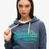 Hoodie met ton-sur-ton Vintage logo