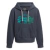 Hoodie met ton-sur-ton Vintage logo