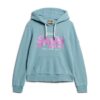 Hoodie met versierde Vintage logo-afbeelding
