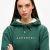 Luxe metallic logo Hoodie jurk