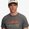 Mesh Trucker-pet