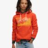 Outdoor Graphic Stripe Hoodie Outdoor Graphic Stripe Hoodie