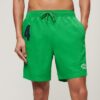 Recycled Polo 17-inch zwemshort