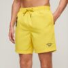 Recycled Polo 17-inch zwemshort