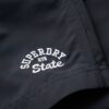 Recycled Polo 17-inch zwemshort