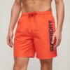 Sport Graphic 17-inch gerecyclede zwemshort