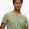 T-shirt met ronde hals en korte mouwen in shorts