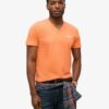 T-shirt met V-hals en Organic Cotton Essential-logo