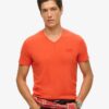 T-shirt met V-hals en Organic Cotton Essential-logo