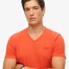 T-shirt met V-hals en Organic Cotton Essential-logo