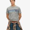 Terrain gestreept T-shirt met logo