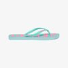 Vintage veganistische Flipflops